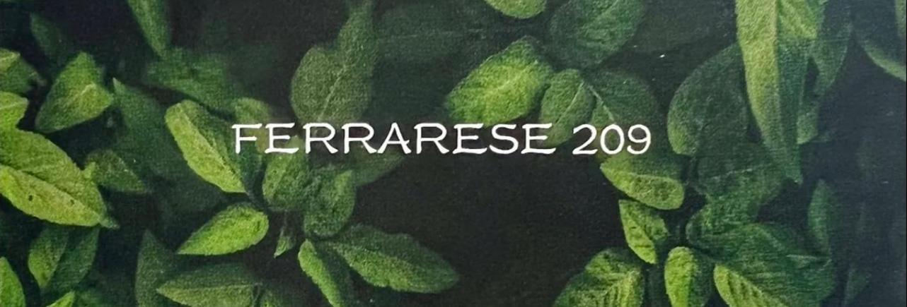 博洛尼亚Ferrarese209公寓 外观 照片